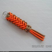 һ��Ư����ɡ���Ҽ���5��