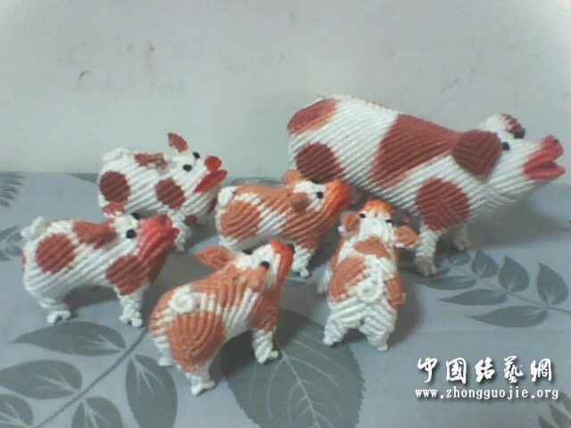 й̳ ʦҵ ʦҵþ,ʦҵ˵ʲô ̳뽻 102311snornqortvedg9zi