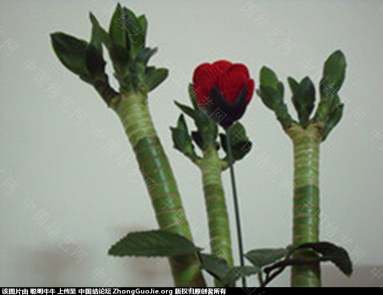 й̳ Ʒ Ʒô,Ʒ,Ʒ,Ʒ,ѧƷ Ʒչʾ 183545e4ode5zor4rhi95e