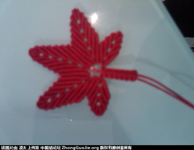 й̳ Ҷ Ҷ,Ҷ˸,Ҷ˵ӾԱ,ҶĶ Ʒչʾ 010243h7vpazxx66twtwpt