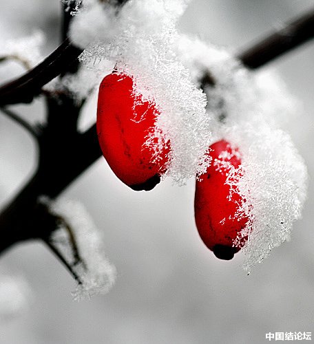 й̳ ֮  Ʒչʾ 103120588010tlcltt84z8