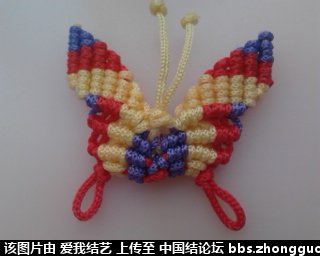 й̳ ѧһСŶ ѧʻ,ѧСǱ,СѧС۷,ѧһֻС,Сѧ Ʒչʾ 0920096rt6g4k2xg62gar3