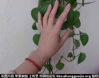 й̳ ƻ԰Ʒ223¥  Ʒչʾ 104946om57ngmwu564zf3t