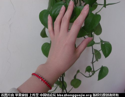 й̳ ƻ԰Ʒ223¥  Ʒչʾ 105830nvnyx61xrf8b6zky