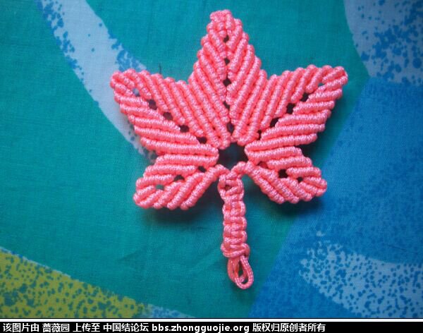 й̳ ѧűɵҶ ׶Ҷѧʲô,ѧҶ,ѧҶ,ѧҶķ,ѧҶֹ Ʒչʾ 111207dawf2nafzgddnwwf