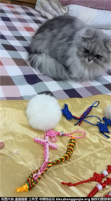 й̳ ˸µİң׳ λ׳,ҼôҰ,Ҽôȥ,׳ô,ʲô˼ Ʒչʾ 1611096t7g8nrjt8jc3t2z