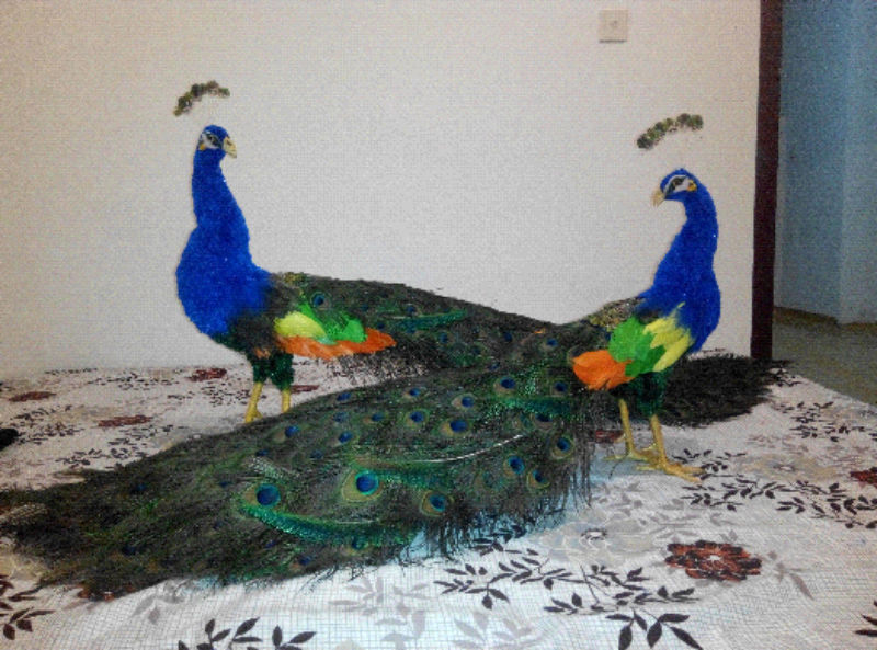 й̳ ȸ ȸģ,ͷȸ,ëȸ,ȸë,ģ Ʒչʾ 192146o8kzm8d1d616mkll