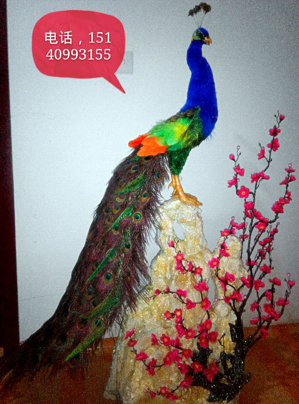 й̳ ȸ ȸģ,ͷȸ,ëȸ,ȸë,ģ Ʒչʾ 192212c1u7ic7flvgy748u