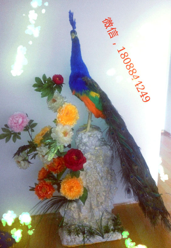 й̳ ȸ ȸģ,ͷȸ,ëȸ,ȸë,ģ Ʒչʾ 192253q4uto6bkah44gutt