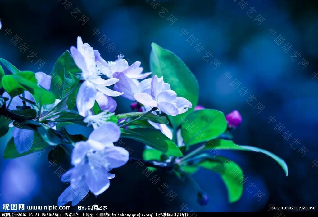 й̳ ܶѶϣһڻ.Ϣ ǽϵıڻ,ڻȫ,ɽˮǽڻ,رڻ,ұڻ Ʒչʾ 185038unk1nns2wuhuuwh9