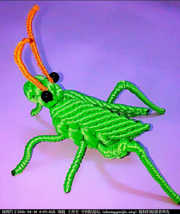 й̳  ͻȻ Ԣ,ƷɵԢ,лǻȳ,ҧ Ʒչʾ 