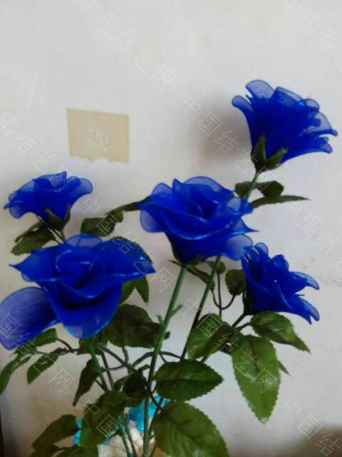 й̳  ƯʻͼƬ,ô,ʻʲô,ͼƬ,ʻ Ʒչʾ 223707i3shoszvmv3n3muv