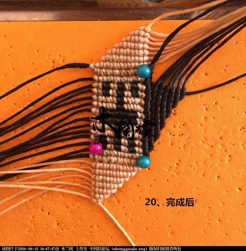й̳ һ˫ɫʿֻ̳ ʿ ͼĽ̳ 164338u63c6b11qrnr1ep3