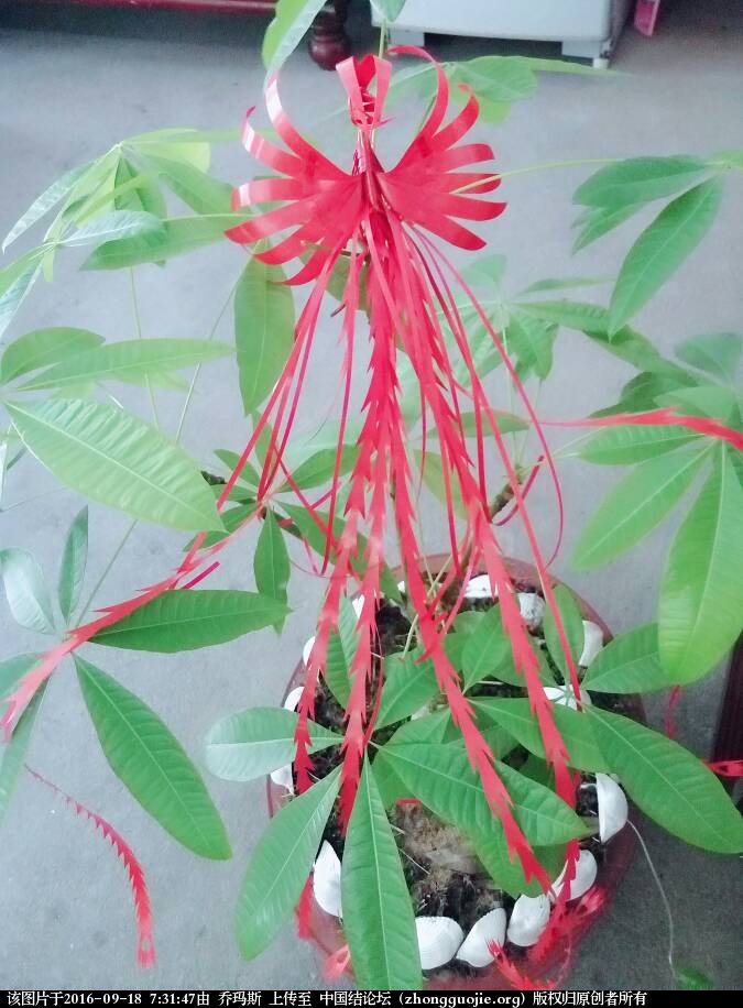 й̳  ,˹ų,,ʵƬ, Ʒչʾ 073147p89cg48evf88x0kv