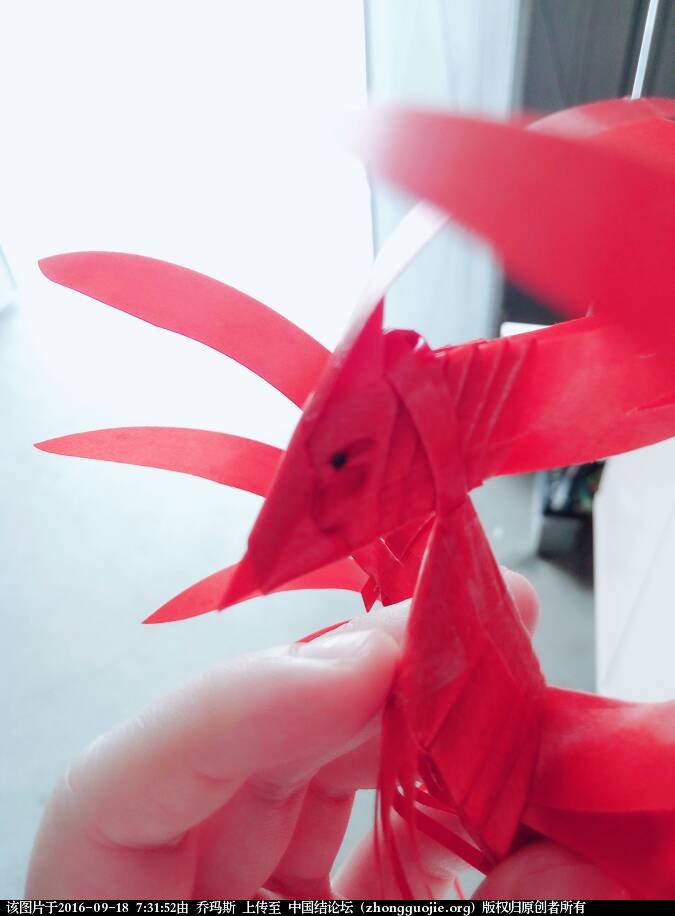 й̳  ,˹ų,,ʵƬ, Ʒչʾ 073151n5g66fkkdhfgfgfe