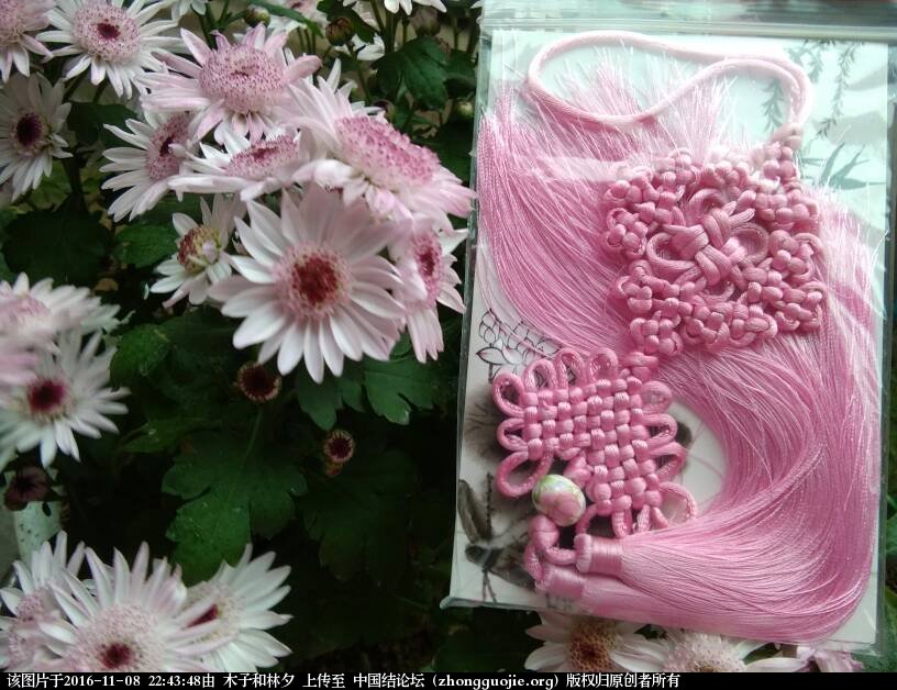 й̳ ϵкͼϽᣬȱ~ һ,ʲô,ϼ,ͼƬ,ô Ʒչʾ 224348th7v2l0b2gnb3p09