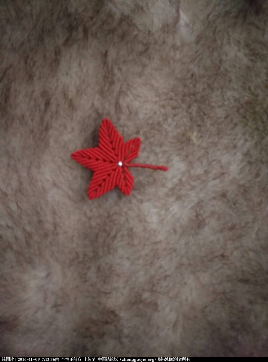 й̳ ҶҼ СҼ,Ҽ,Ҷ,Ҷĺ,ҶҼͼƬ Ʒչʾ 071336f8aq58f7sf75aaxf