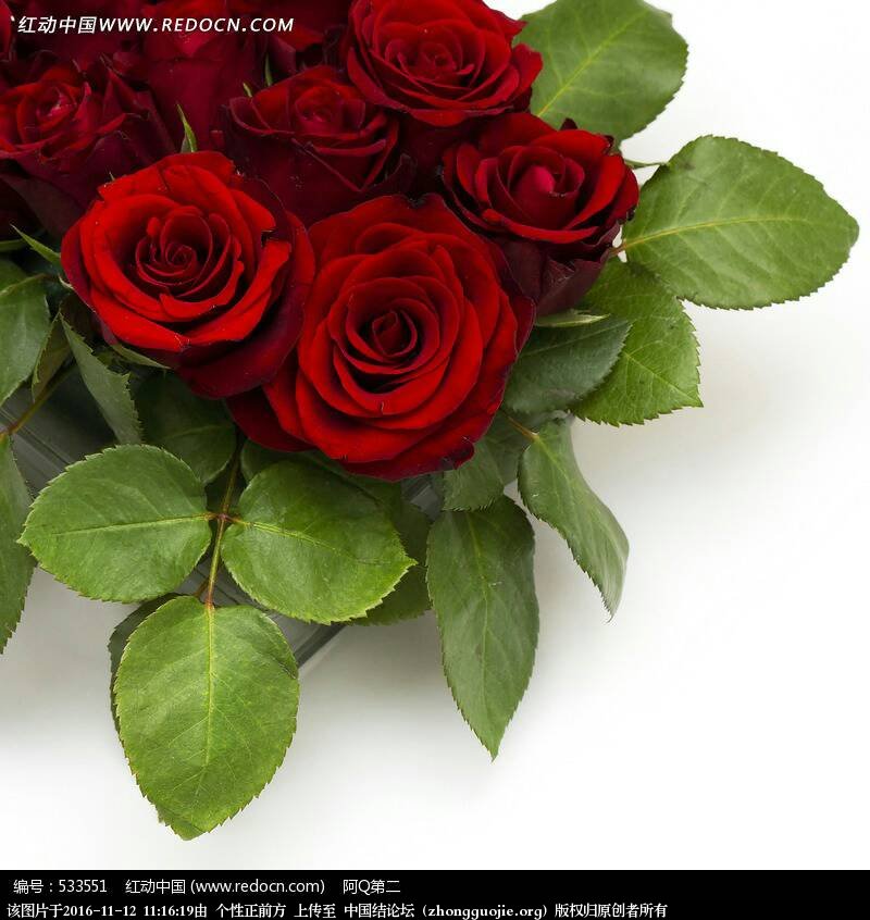 й̳ õ廨 õ,õ廨,õ廨ͼƬȫͼ,õ廨ͼƬ,õʻͼƬȫͼ Ʒչʾ 111618vte9trn42i2ne6t2