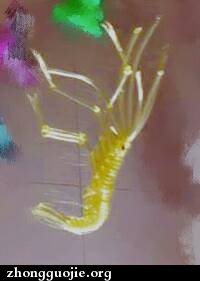 й̳ Ϻô෨ йϺӵı෨,Ϻı֯Ƶ̳,Ϻı෨Ƶ̳,Ϻֹ֯,Ϻ๳Ƶ̳ ջ 212706hrbasbfg0eie9cif