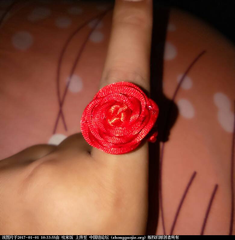 й̳ ҵĴŮ ʽ,ӷչĽǶȿ,״̬,й Ʒչʾ 103355zpx36drnwk3q6qon