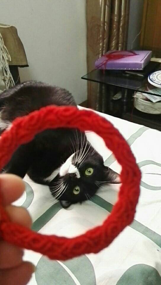 й̳ ƽԲ ô,й෨ͼȫ Ʒչʾ 103938kbu5uebegtbtdtud