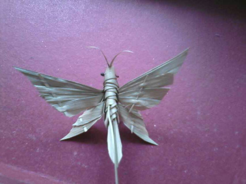 й̳ ʮر رļҶ෨Ƶ,Ҷ֯Сӽ̳,رּ,رַ,رֹƷ Ʒչʾ 202520ze0dpz5iiqae8dze
