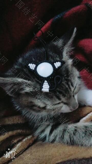 й̳  ôظ,ʲô˼,С˵ȫ,Ů˵,˼ Ʒչʾ 225156l1jf66e6utojtttv