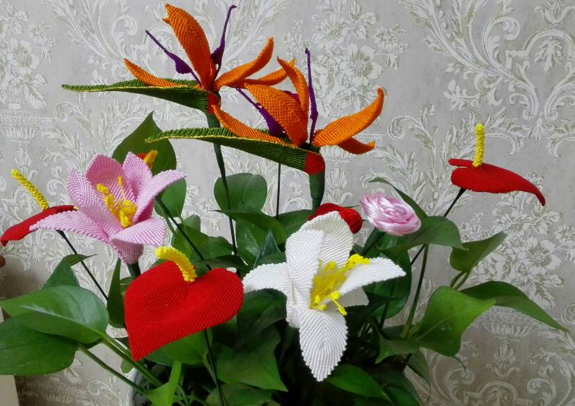 й̳   Ʒչʾ 093529ujb3wby15mzbprqd