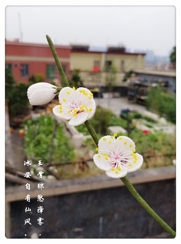 й̳ һ֦ 齴,޸ ǰ,տ,, Ʒչʾ 151528pcjoxjz5xsxg5trw