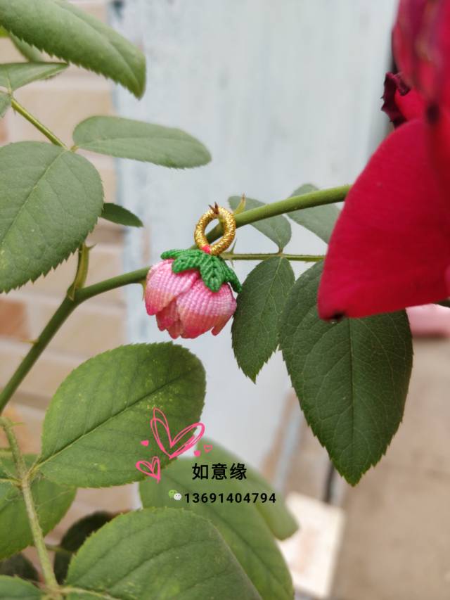 й̳ ɹƷ ֽ,Ʒ,,,ͺɻ Ʒչʾ 115149auzvya7mxm7rqgdd