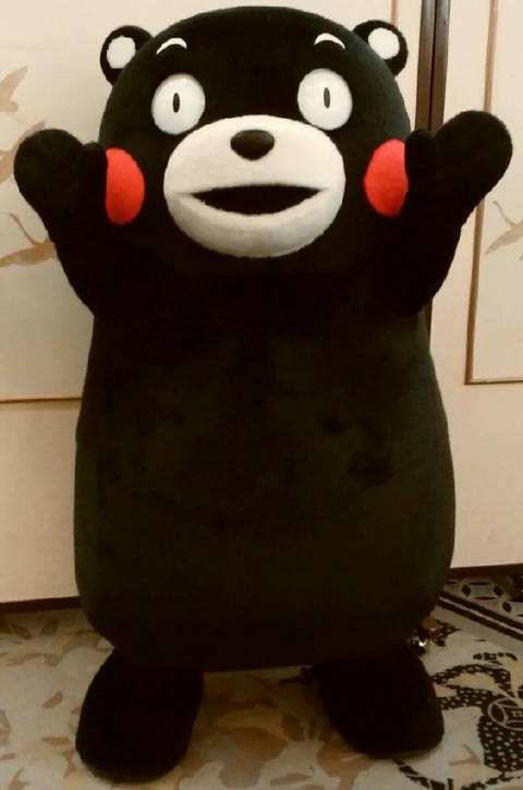 й̳ ձKUMAMON ~ ܱ ձ,ܱ,ձܱѧ,ܱѧձ,ձ¹ Ʒչʾ 150754j8j0if0i1531fm5t