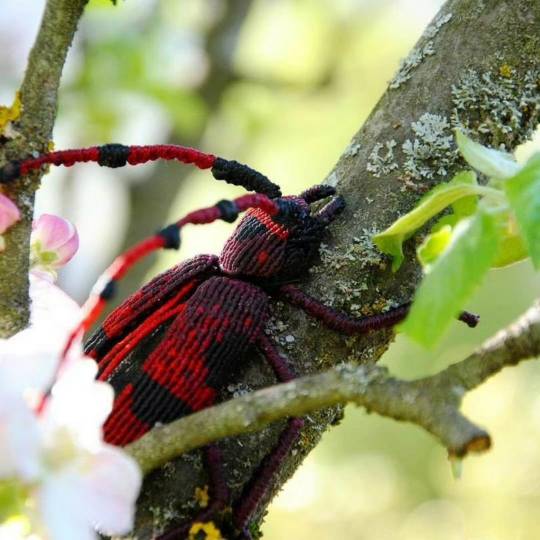 �й�����̳ ����Ҽ� ����,�Ҽ�,����Ҽ�ͼƬ��ȫ,�����Ҽ�,�ɰ��Ҽ� ��Ʒչʾ 152503a1cbx4l2ptugniz1