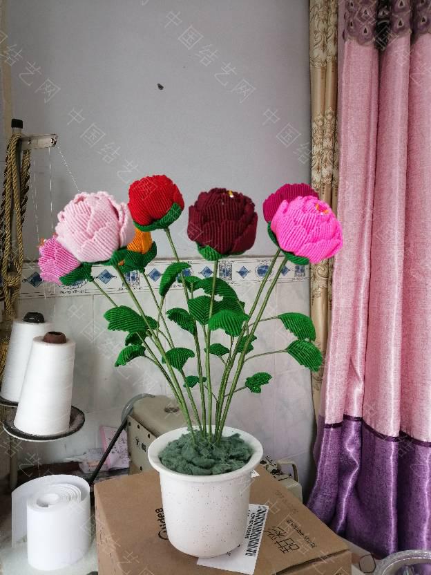 й̳ ĵ辰 ĵ辰չͼƬȫ,ͥĵԭ,ĵΪʲôܽ,ĵ辰ͼƬȫ,ĵԼ Ʒչʾ 155813hb6hsgg2c6py6uvo