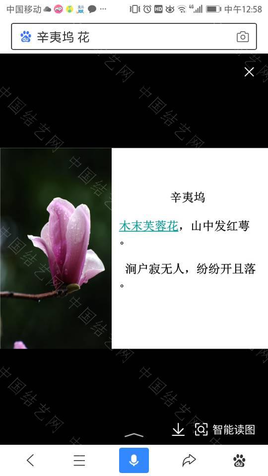й̳ ¼ Ӽ¼Ƭȫ,̨¼Ƭ Ʒչʾ 130704z5m689svs8sa8505