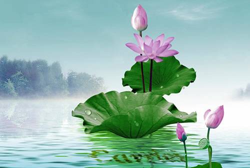 й̳ 辰 ֲԺɻ,ԺɻǮһ,Ժɻ,Ժɻʩʲôʺ,Ժɻ Ʒչʾ 230542naaj9i2skas6a3bt