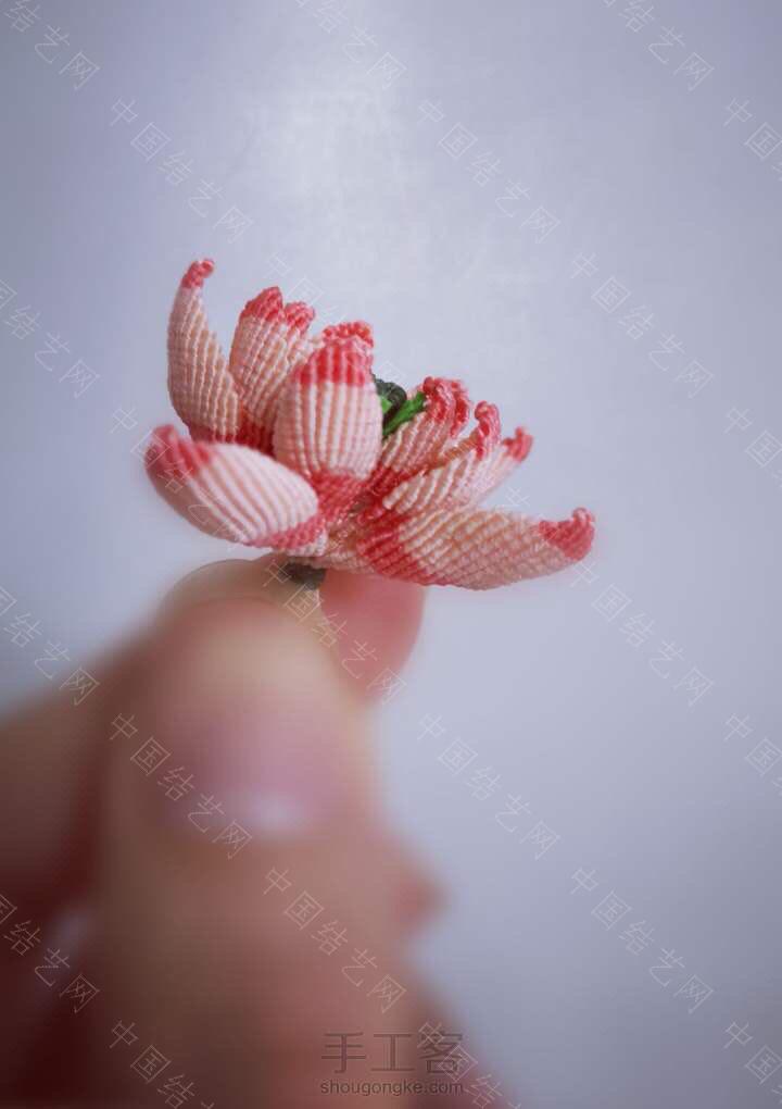 й̳ ɡѧϰ·͵ ʾɵʫ,ľ Ʒչʾ 224210dt6gp6r474m6ij6j