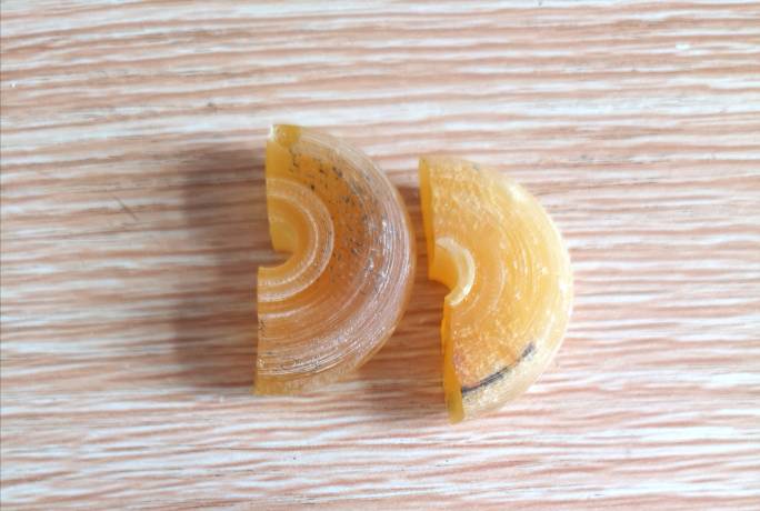 й̳ ڣн ,εôר Ʒչʾ 081600rdsq5lt7gsxdgdd4