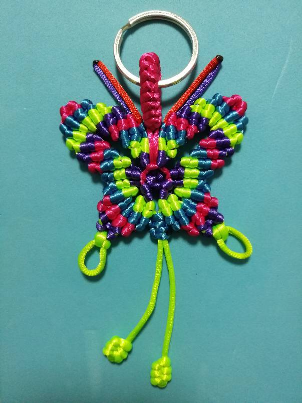 й̳ butterfly ƹ򱱾,Ʒ Ʒչʾ 002317z5sbsdt895zb9gt5