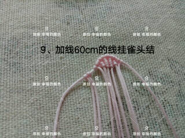 й̳ ԭ ֳ,ԭ,ô޼,ʲôֲ,С ͼĽ̳ 194419thhz5cm0ss0soyny