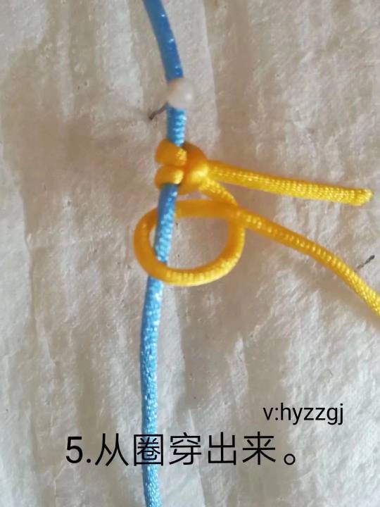 й̳ йỨ֮տ̳ ̳ Ʒչʾ 