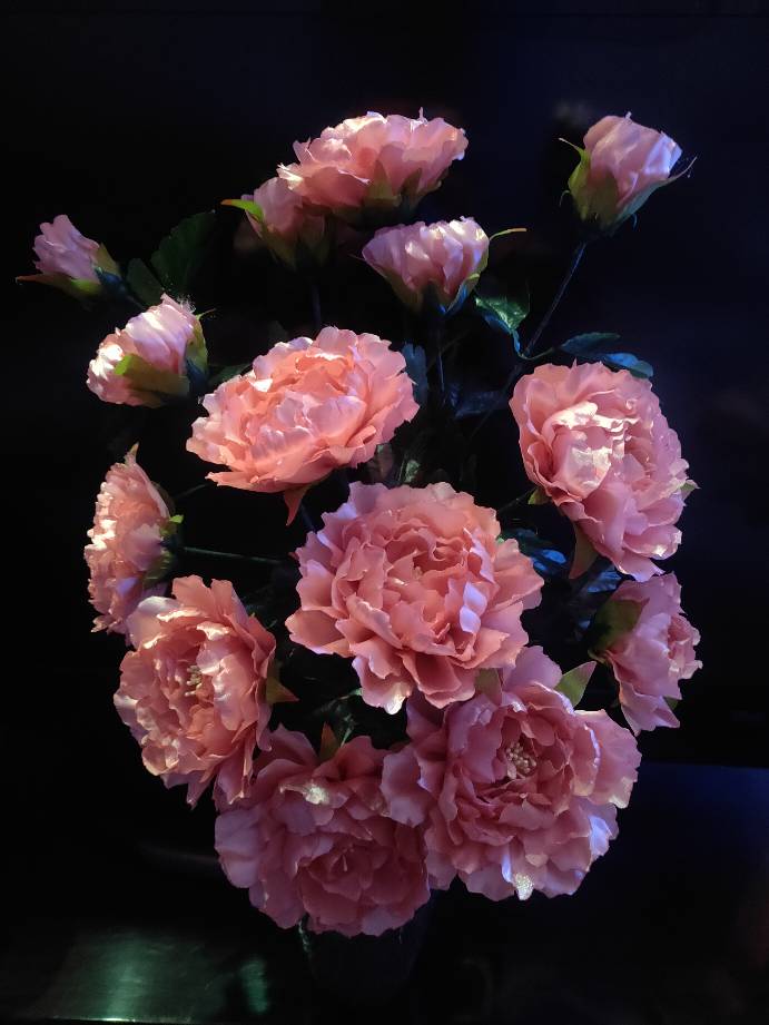 й̳ ҵĻ Ҿǻ,¹ӰƵѹۿ,Ȧ˵˵,仨, Ʒչʾ 092623ut11114rn144qpdu