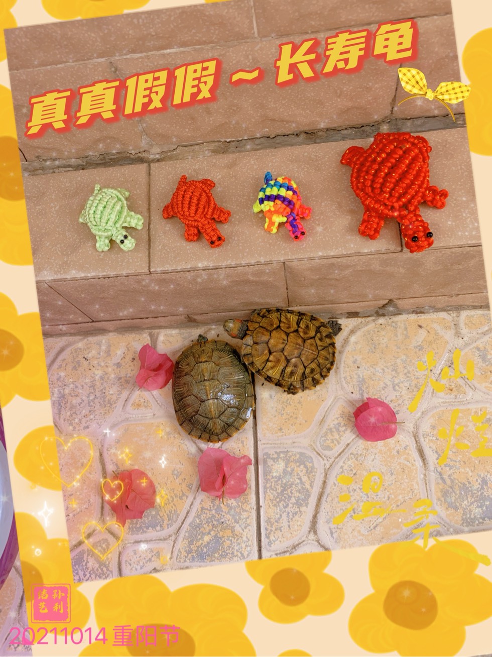 й̳ žڣٹ žʫ,žֳģ,ٹʲô,žף Ʒչʾ 103833blautjajw4t417ew