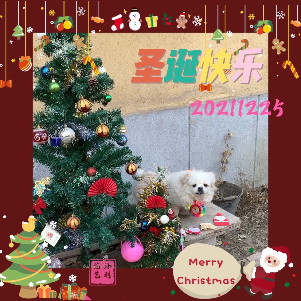 й̳ 20211225ʥ⡫ʥʥ ʥѡָ,ʥЩ,õʥʲô Ʒչʾ 190638mx3leeryfbfiteeb