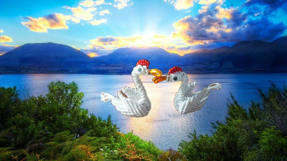 й̳ С  Ʒչʾ 225712d717q20tz3jn1tb1