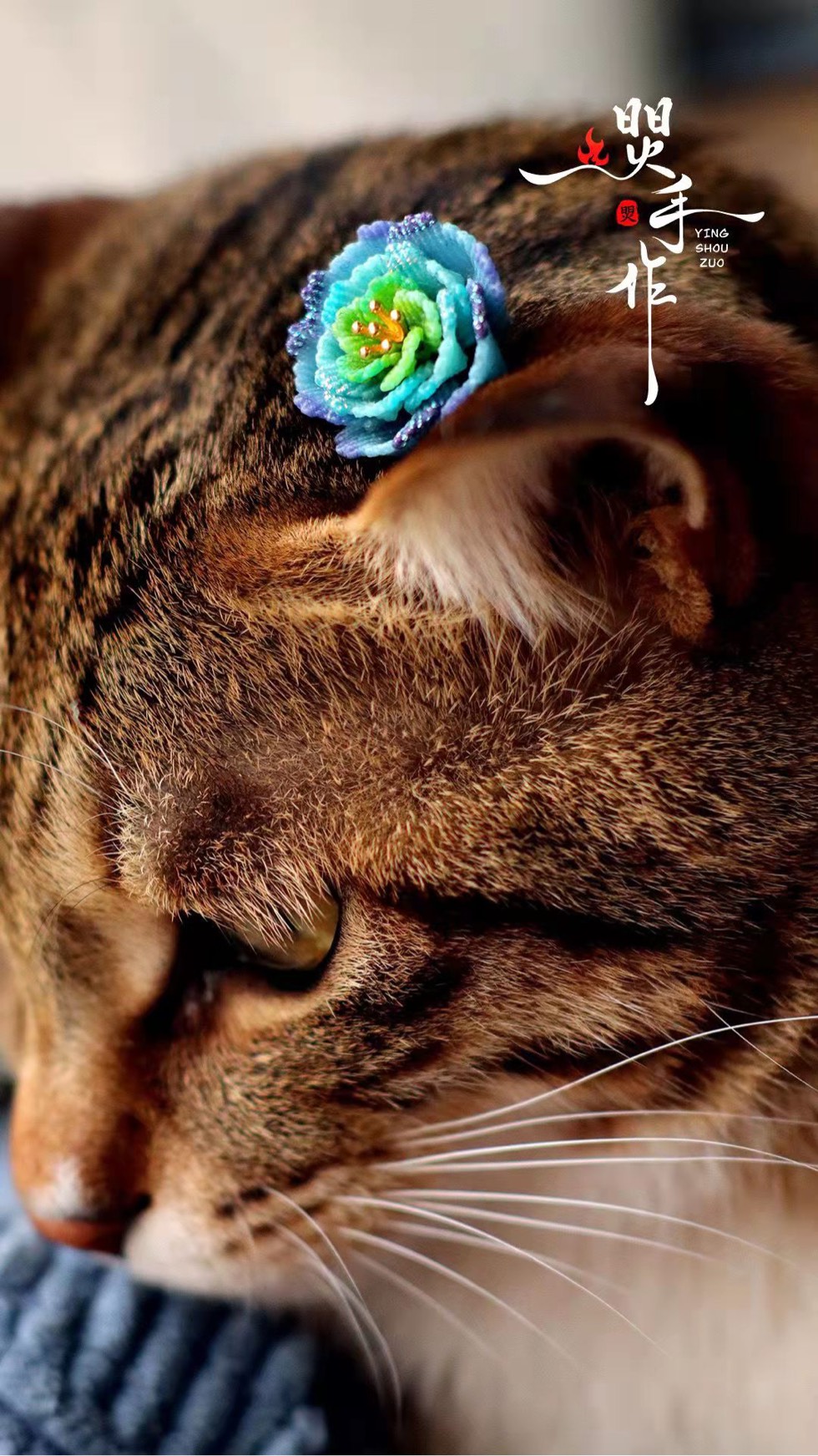 й̳ ƯĻ  Ʒչʾ 230745avfjcys9ygocsqn3