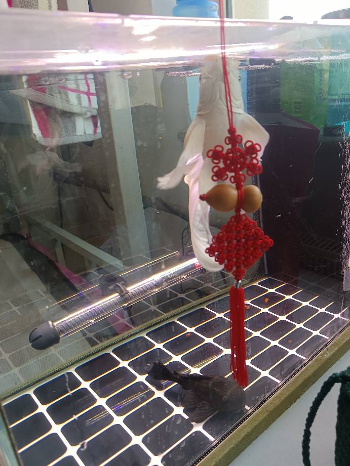 й̳ þûи2 þûƷ,Ϊʲôܸ,ô,þû¶̬˵˵,µٵԭ Ʒչʾ 000612rap5fgv67gvag795