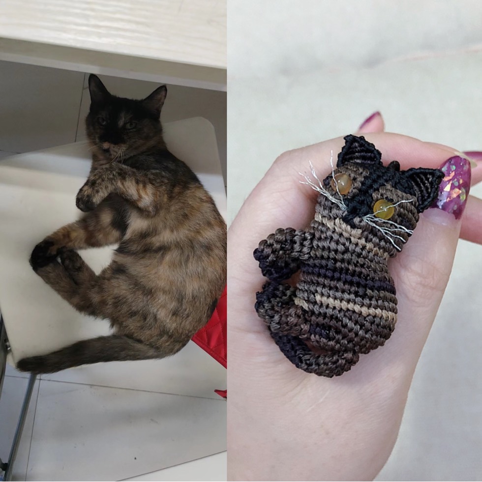 й̳ Сè ſĵСè,èͼƬȫ,è,ָСèɶ,Сè Ʒչʾ 182418vyqv5zmp73oq29o9