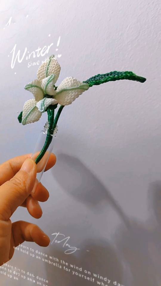 й̳ һ֧ʵĻ  Ʒչʾ 