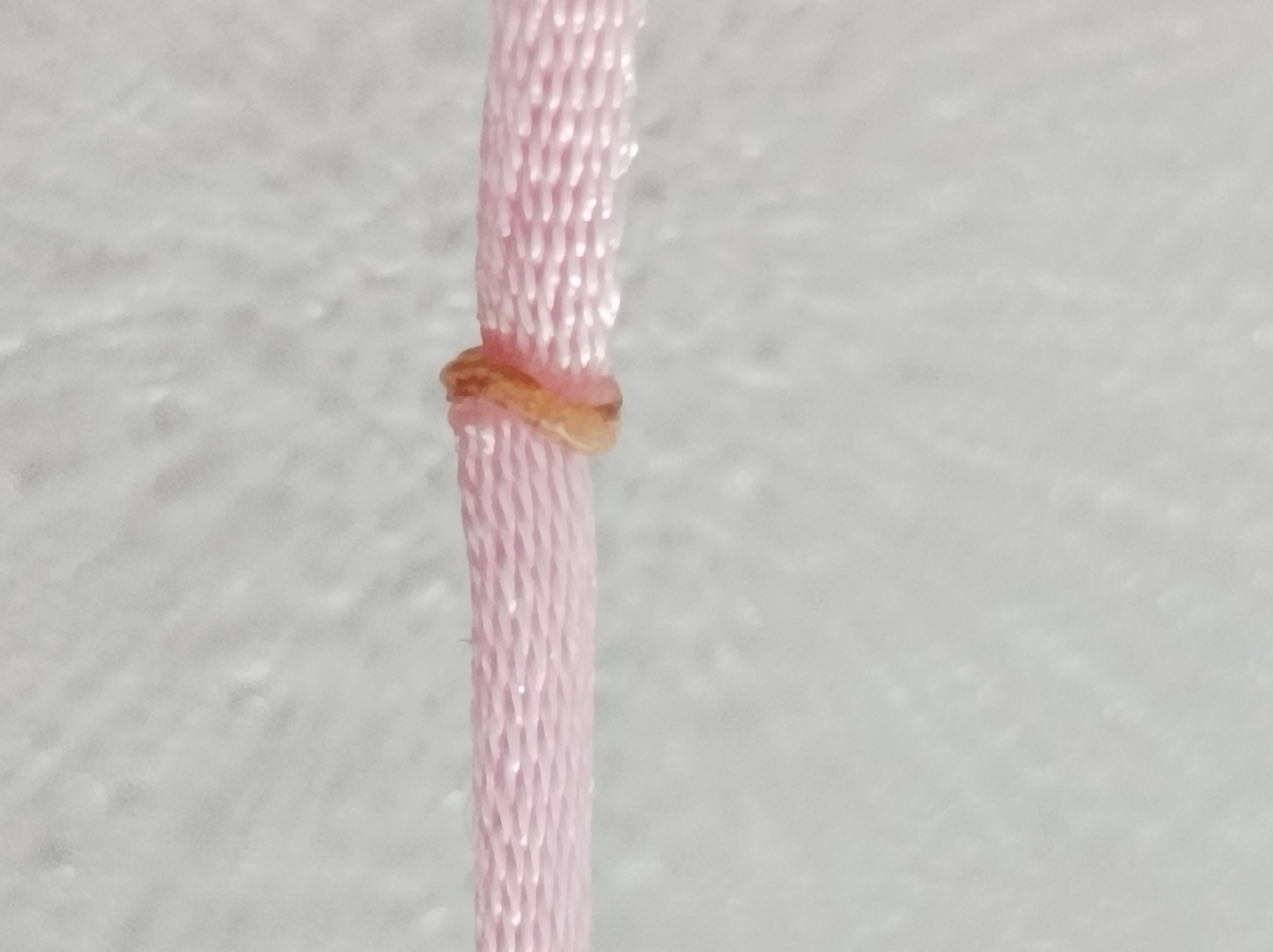 й̳ ˵ʹز  ͼĽ̳ 020616od71j1ua7vvi1nm1