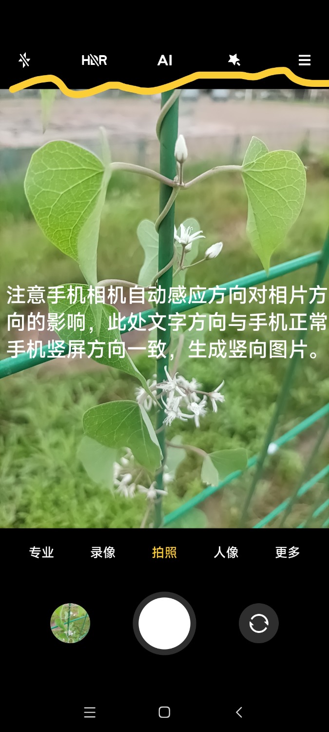 й̳   Ʒչʾ 082100mzpw95prk5c42wcw
